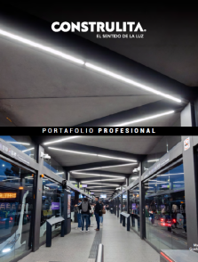 Portafolio Profesional