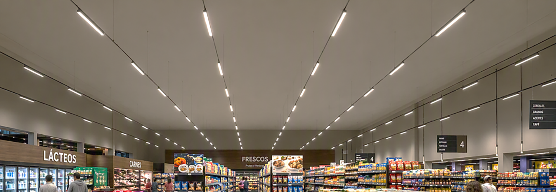 Skylight II