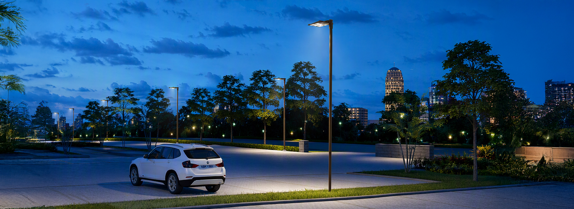 AREA LIGHT